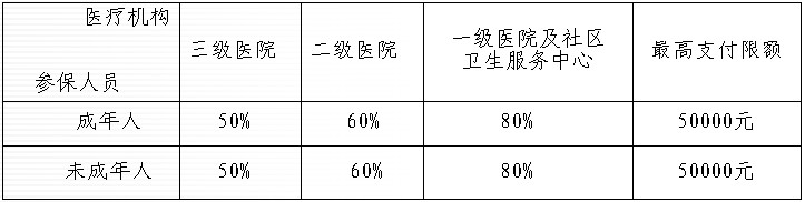 統籌基金支付標準