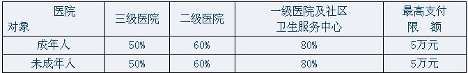 報銷比例